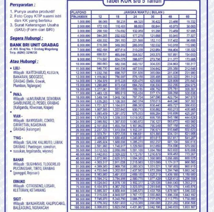 Tabel kredit kur bri