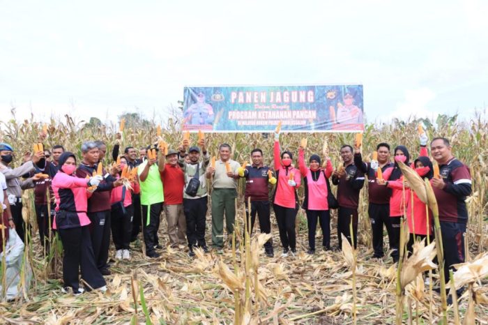 Informasi lengkap tentang Badan Ketahanan Pangan Aceh (BKA)