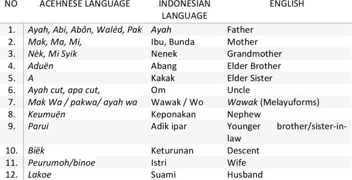 Kamus dan tata bahasa Bahasa Aceh lengkap untuk pemula dengan contoh kalimat dan percakapan