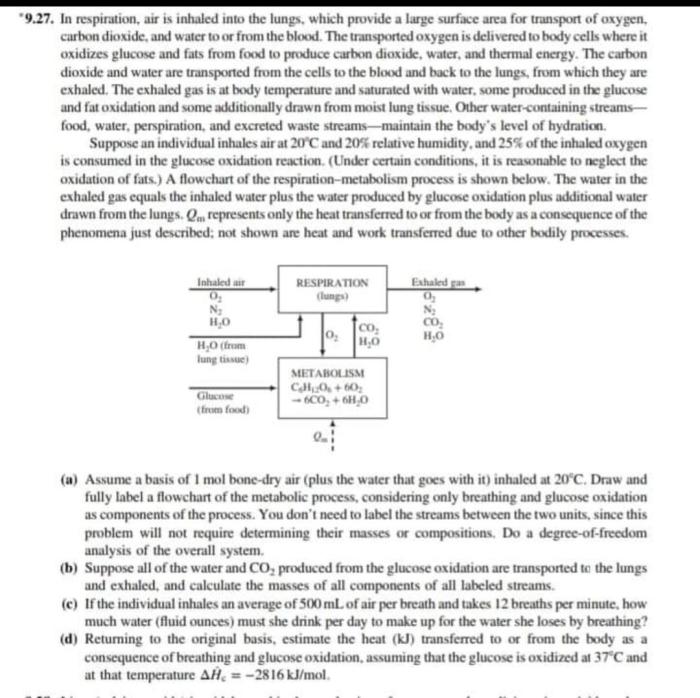 Organ yang berfungsi untuk mengatur suhu udara pernapasan adalah