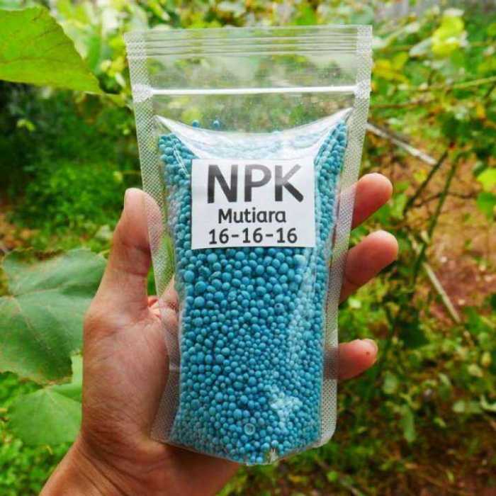 Pupuk mutiara 16 16 16