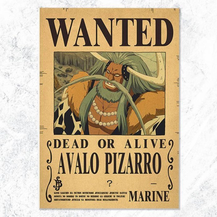 One piece avalo pizarro