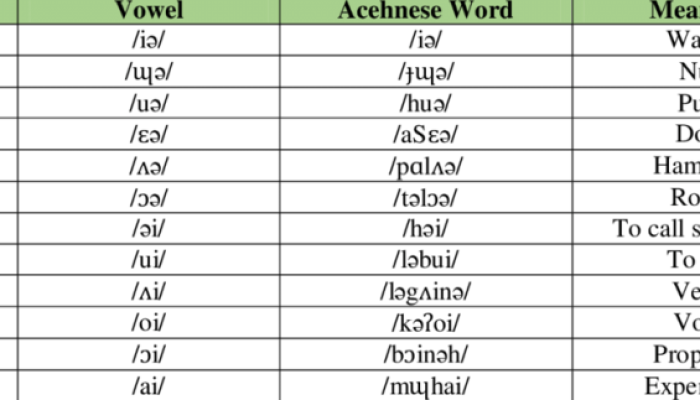Kamus dan Tata Bahasa Aceh Lengkap untuk Pemula
