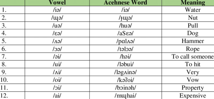Kamus dan tata bahasa Bahasa Aceh lengkap untuk pemula dengan contoh kalimat dan percakapan