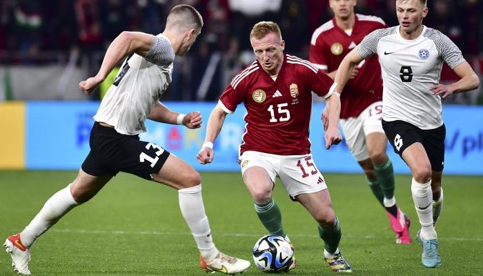 Jadwal Timnas Persahabatan Panduan Lengkap