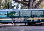 Perbedaan Status Aceh, DKI, Yogyakarta, dan Papua dengan Provinsi Lain