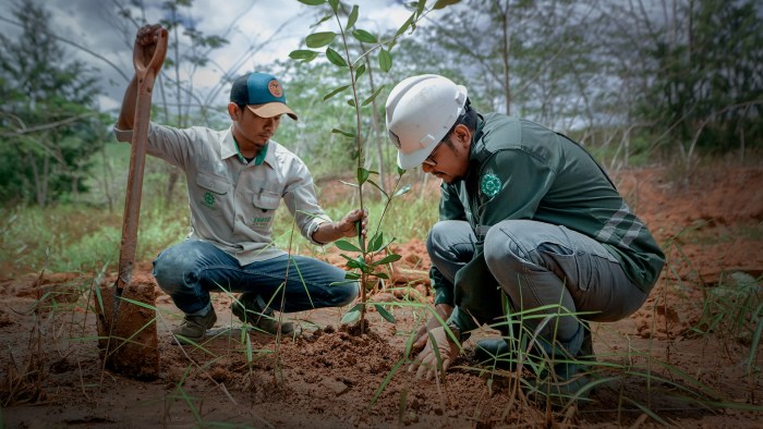 Pt sulawesi mining investment bintang delapan group