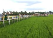 Tempat Wisata Religi Banda Aceh yang Menarik Dikunjungi