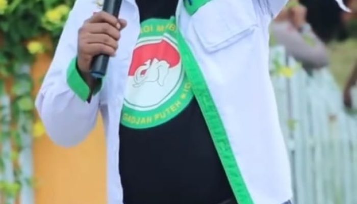 Dugaan Kejanggalan LHKPN Syahriadi Siregar, Gadjah Puteh Akan Lapor KPK Untuk Lakukan Audit Forensik