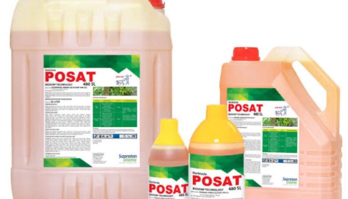 LSM Gadjah Puteh Desak SPI Usut Dugaan  Penggelapan Pupuk dan Racun di PTPN IV Regional 6 Langsa