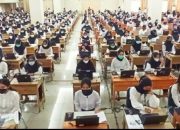 Panduan Lengkap Sistem Manajemen Talenta CPNS PPPK 2024