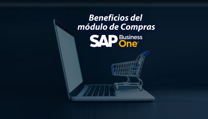 Sap business one adalah