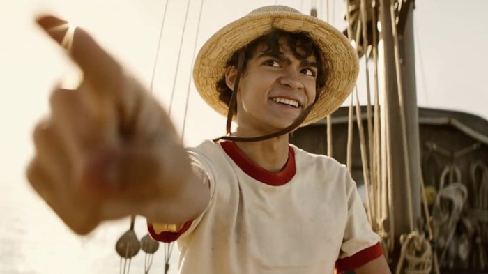 Pemain one piece live action
