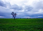 Gambar Polos Eksplorasi Visual dan Aplikasinya