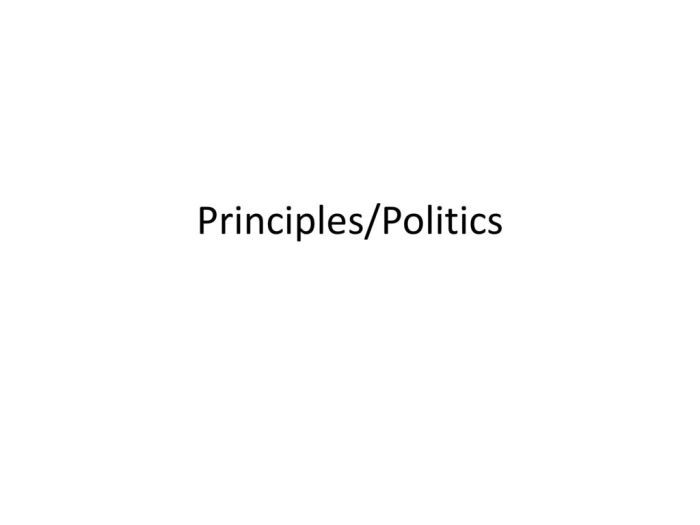 Prinsip politik