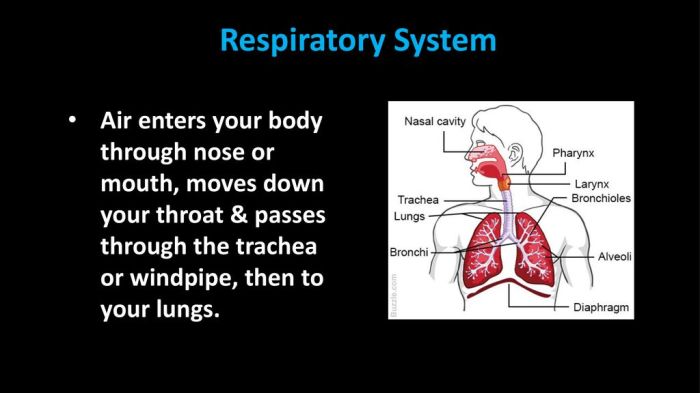 Jumlah maksimum udara yang dapat keluar masuk sistem pernapasan dinamakan