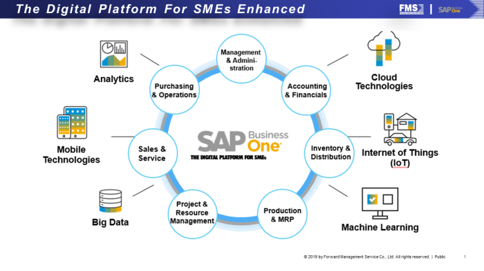 Sap business one adalah
