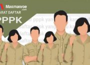 Masa Kontrak PPPK Aturan, Hak, dan Karir