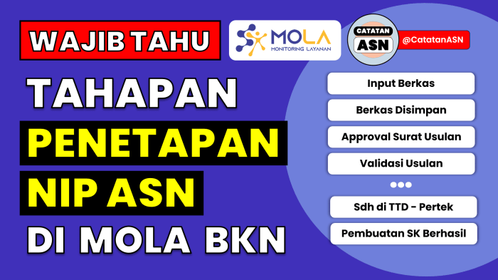 Menemukan NIP CPNS dan PPPK saya di sistem informasi Mola BKN