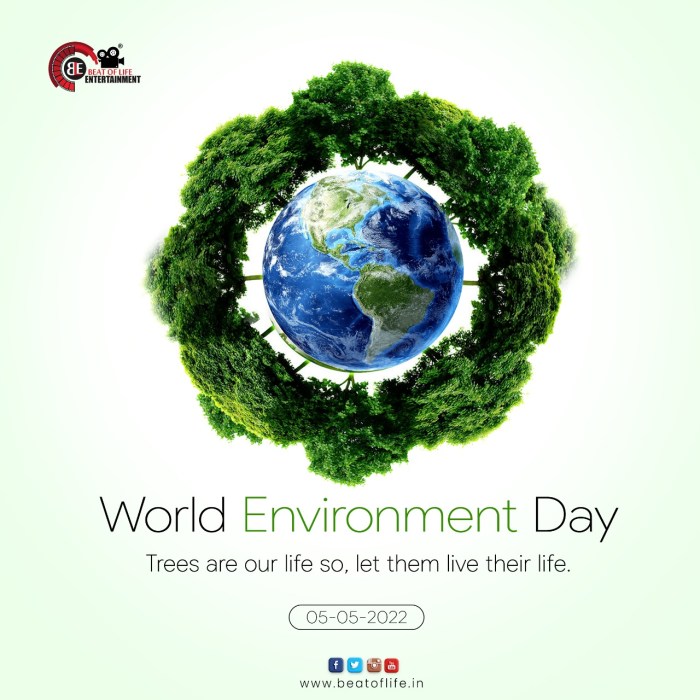 Pengertian lingkungan