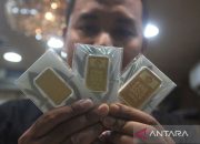 Harga Emas Antam Tahun 2019 Fluktuasi dan Analisis