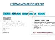 Temukan NIP CPNS dan PPPK Anda di Mola BKN