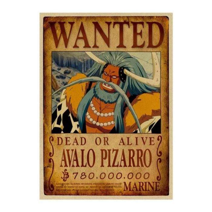One piece avalo pizarro