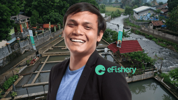 Prospek pengembalian investasi Efishery menurut laporan FTI