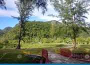 Isu Lingkungan Hidup dan Pelestarian Alam Aceh Terkini