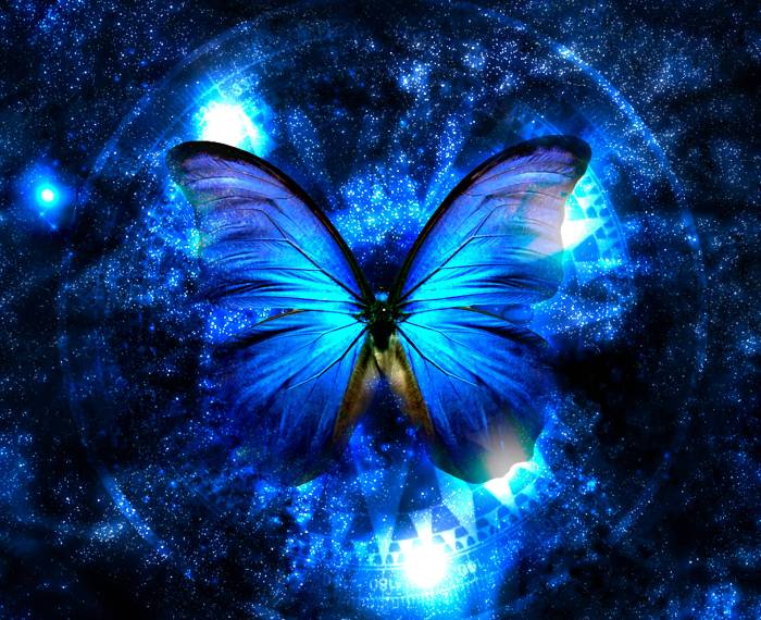Blue butterfly wallpaper