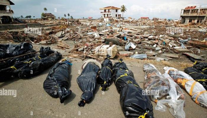 Dampak Jangka Panjang Tsunami Aceh terhadap Masyarakat dan Lingkungan