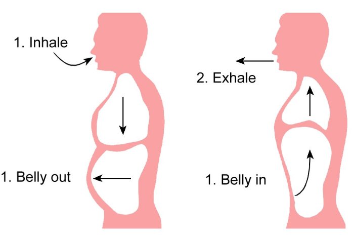 Ciri ciri pernapasan perut