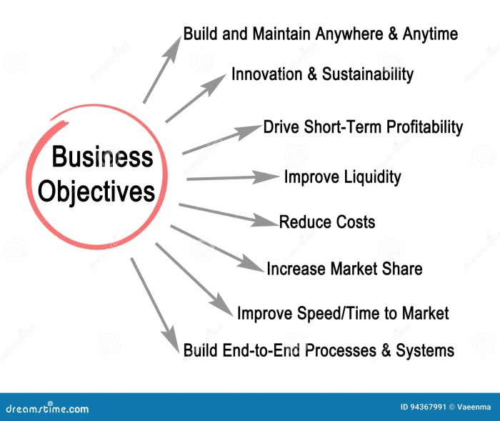 Objectives goals business plan set dummies bases approach cover