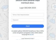 Hasil PPPK Analisis Data dan Dampaknya
