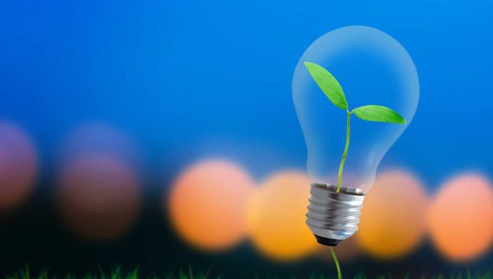 Regional development policy