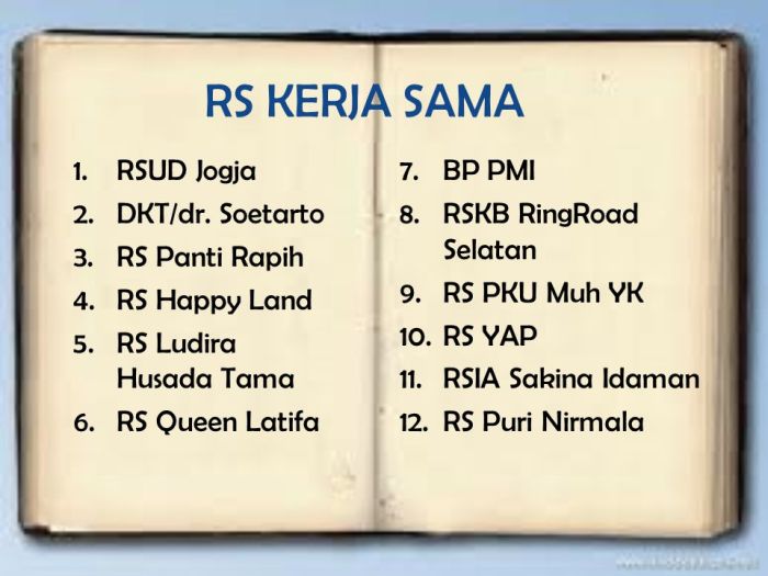 Rs ludira husada tama