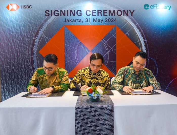 Prospek pengembalian investasi Efishery menurut laporan FTI