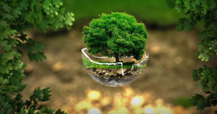 Environment earth hands concept