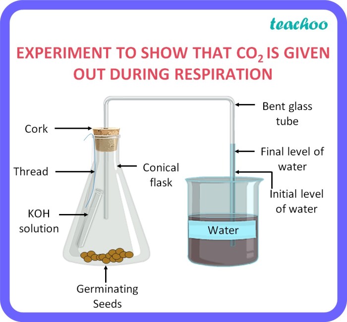 Zat sisa yang dikeluarkan oleh tumbuhan pada waktu bernapas adalah