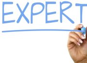 Arsiparis Ahli Pertama Peran, Keahlian, dan Karir