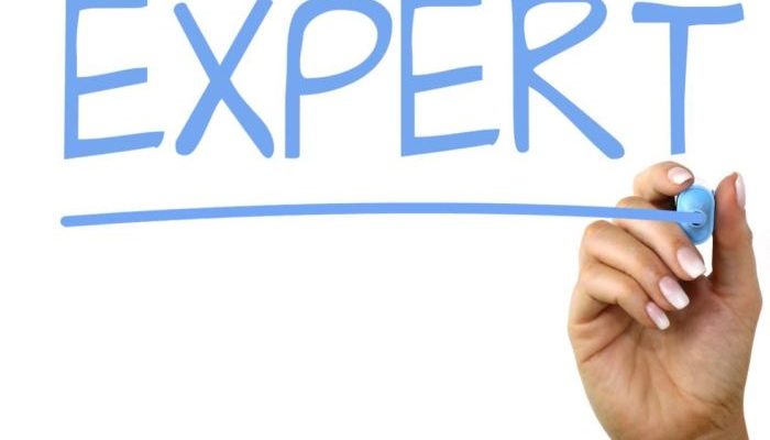 Arsiparis Ahli Pertama Peran, Keahlian, dan Karir