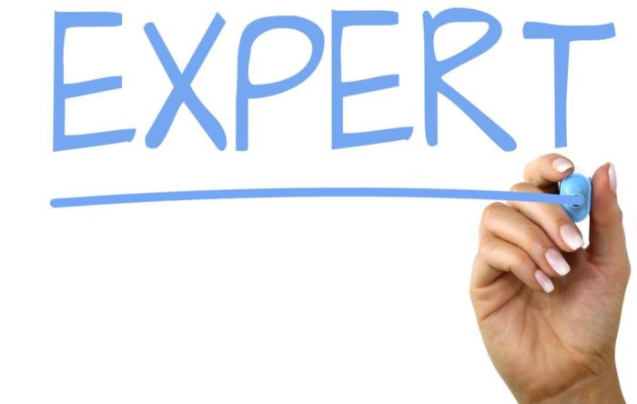 Arsiparis ahli pertama