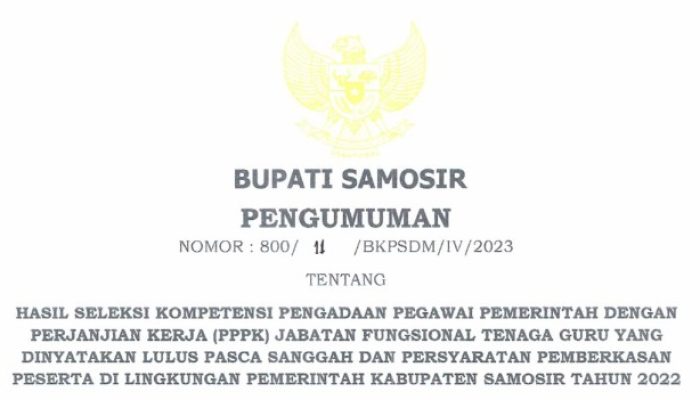 Cek Kelulusan PPPK Tahap 2 2025 Tenaga Honorer