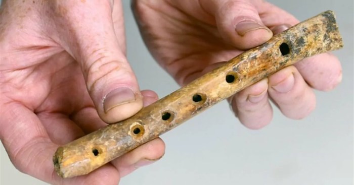 Pada zaman prasejarah yang menjadi instrumen musik pertama masyarakat adalah