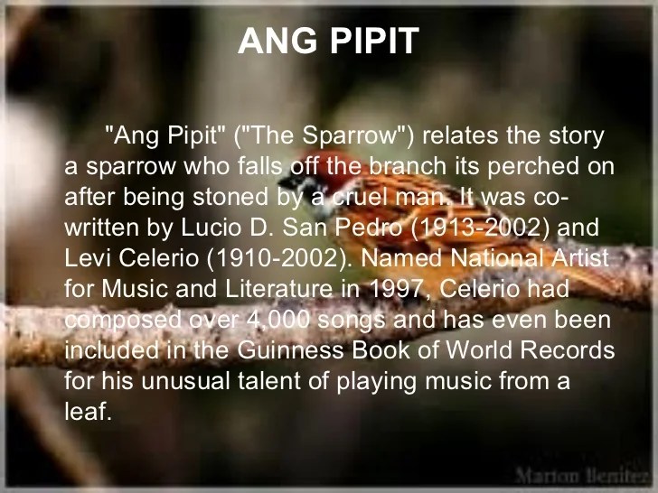 Lirik lagu daerah Aceh populer beserta sejarah, arti, dan video musiknya