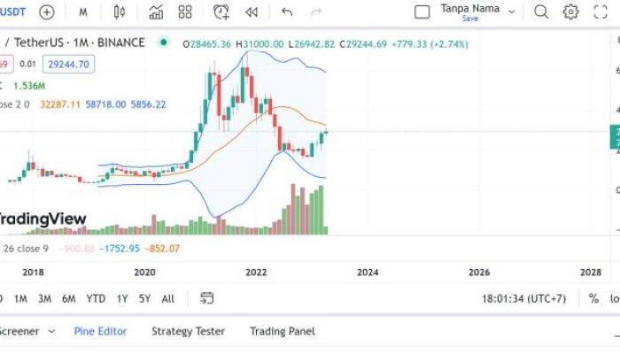 Perbandingan Penurunan Harga Bitcoin 2020 dan Prediksi 2024