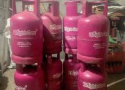 Tabung Gas LPG 12 Kg Harga, Distribusi, dan Keamanan