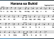 Koleksi Lagu Daerah Aceh Terpopuler Lirik dan Artinya