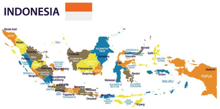 Perbedaan status daerah istimewa Aceh, DKI Jakarta, Yogyakarta, dan Papua dengan provinsi lain di Indonesia