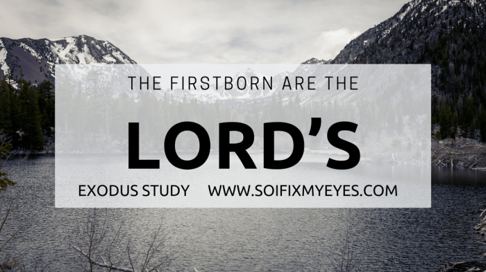 Rezeki anak pertama menikah dengan anak pertama